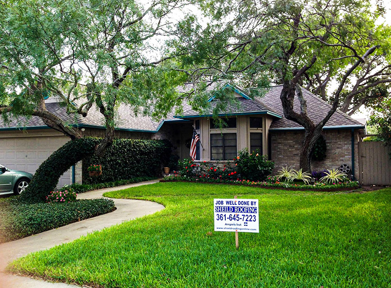 How to keep tree off your roof