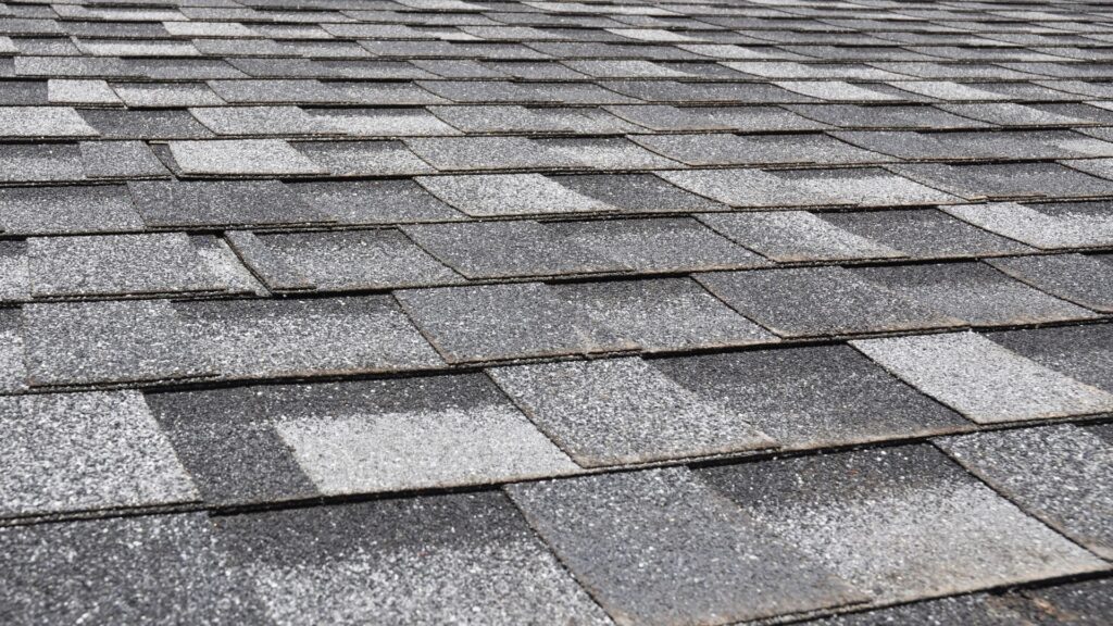Why Should You Consider Shingle Roofing for Your Home Renovation?