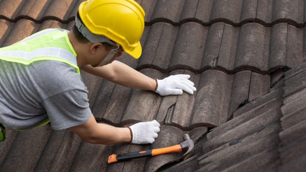 What Are the Signs That You Need an Urgent Roof Repair?